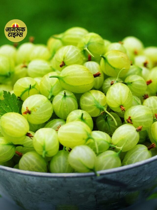 Amla का सेवन क्यों है जरूरी जानें इसके फायदे