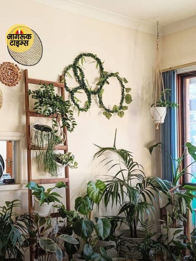 वास्तु शास्त्र के अनुसार घर में रखने वाले PLANTS